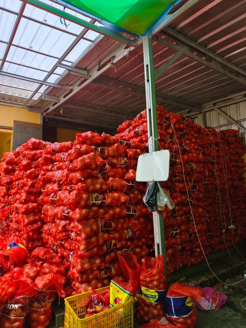 Area gudang dengan stok bawang bombay