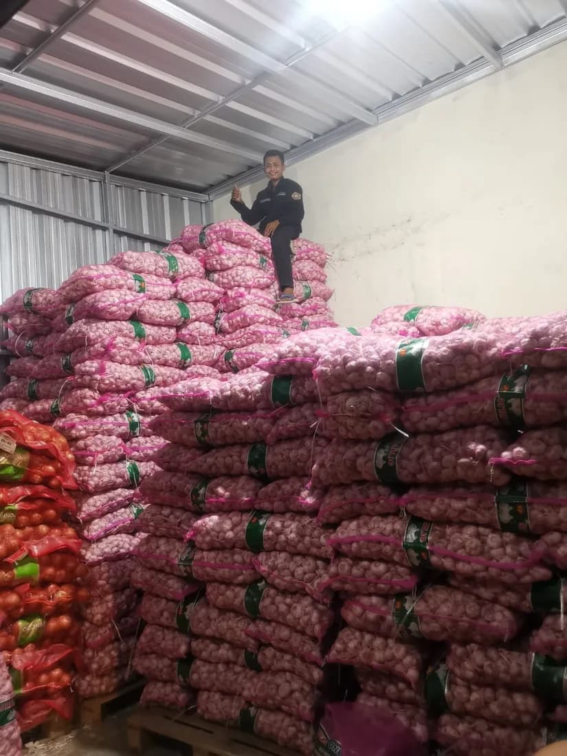Stok bawang putih dalam volume besar